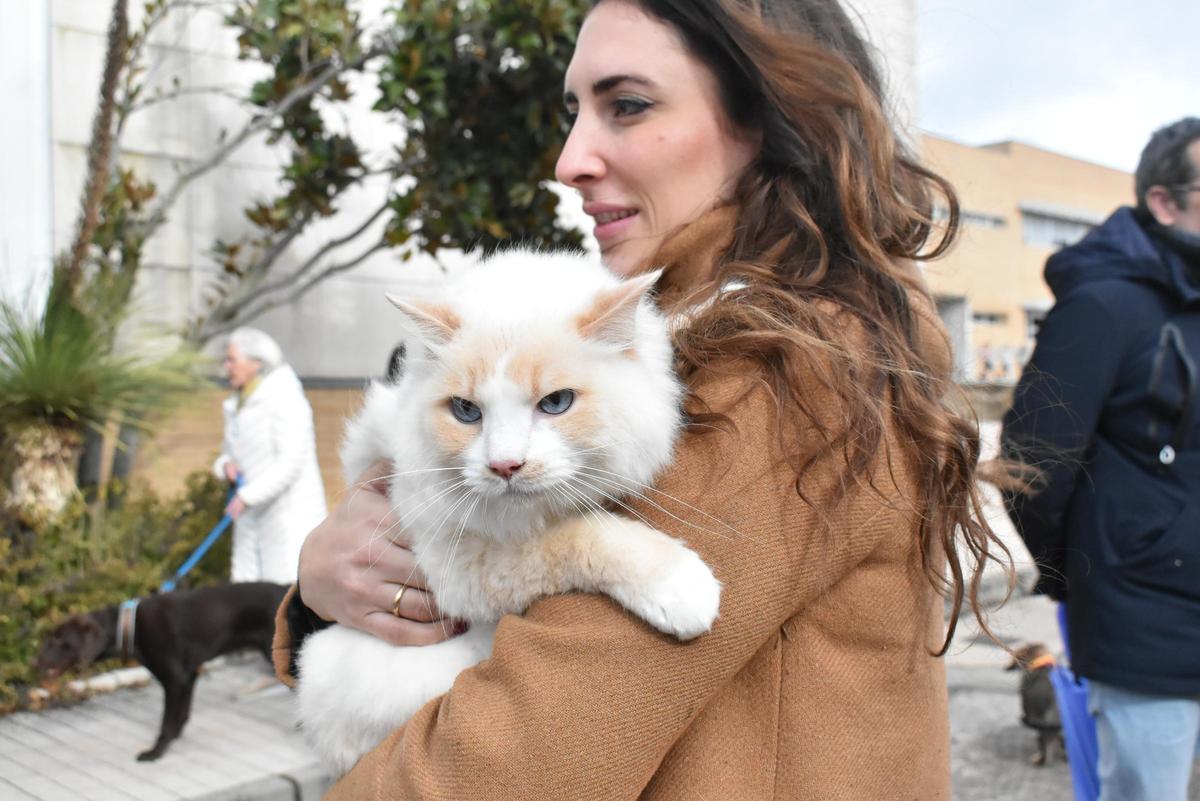Fotogalería | Así ha sido la celebración de San Antón en el colegio San Antonio de Cáceres