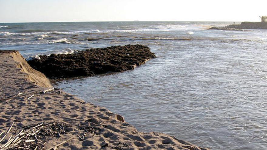 El Delta de la Tordera, en una imatge d&#039;arxiu,? usarà com a patró l&#039;estudi del Delta de l&#039;Ebre.