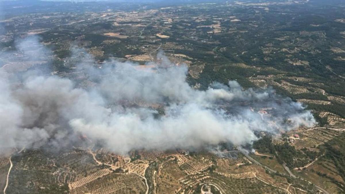 Imatge aèria de l'incendi de vegetació de Cervià de les Garrigues.