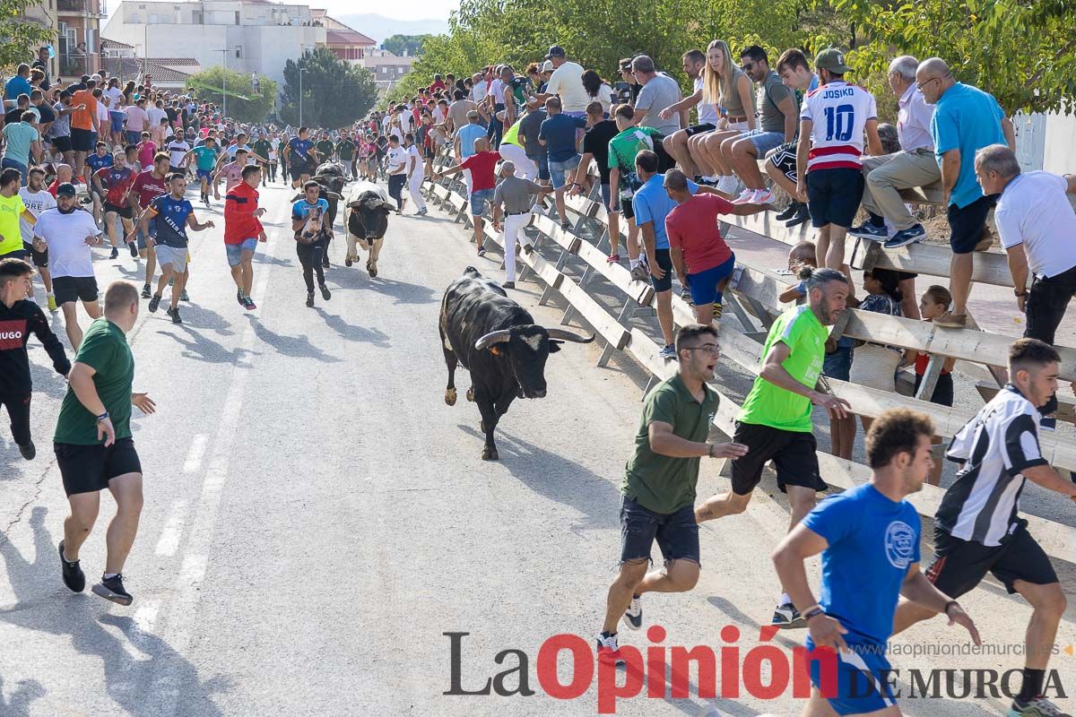 Sexto y último encierro de la Feria Taurina del Arroz en Calasparra