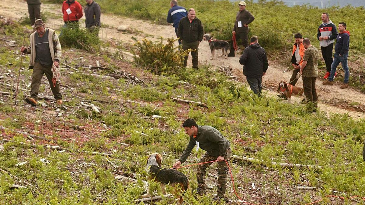 Participantes en un campeonato de seguimiento de rastro de jabalí celebrado en Xiabre.  | // NOÉ PARGA