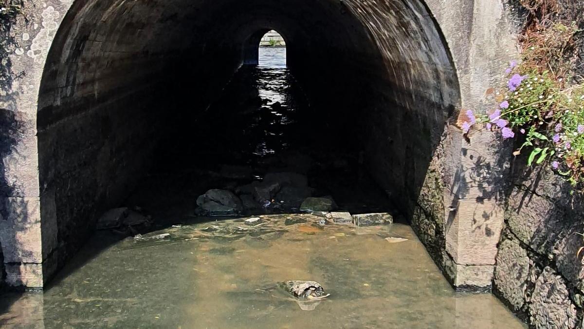 Imagen aportada por el PP de Pontecesures con su queja.