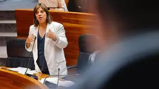 Llamedo expresa su "asco" por las conversaciones sobre mujeres del caso "Koldo" ante un PP que denuncia el "pornofeminismo" del PSOE