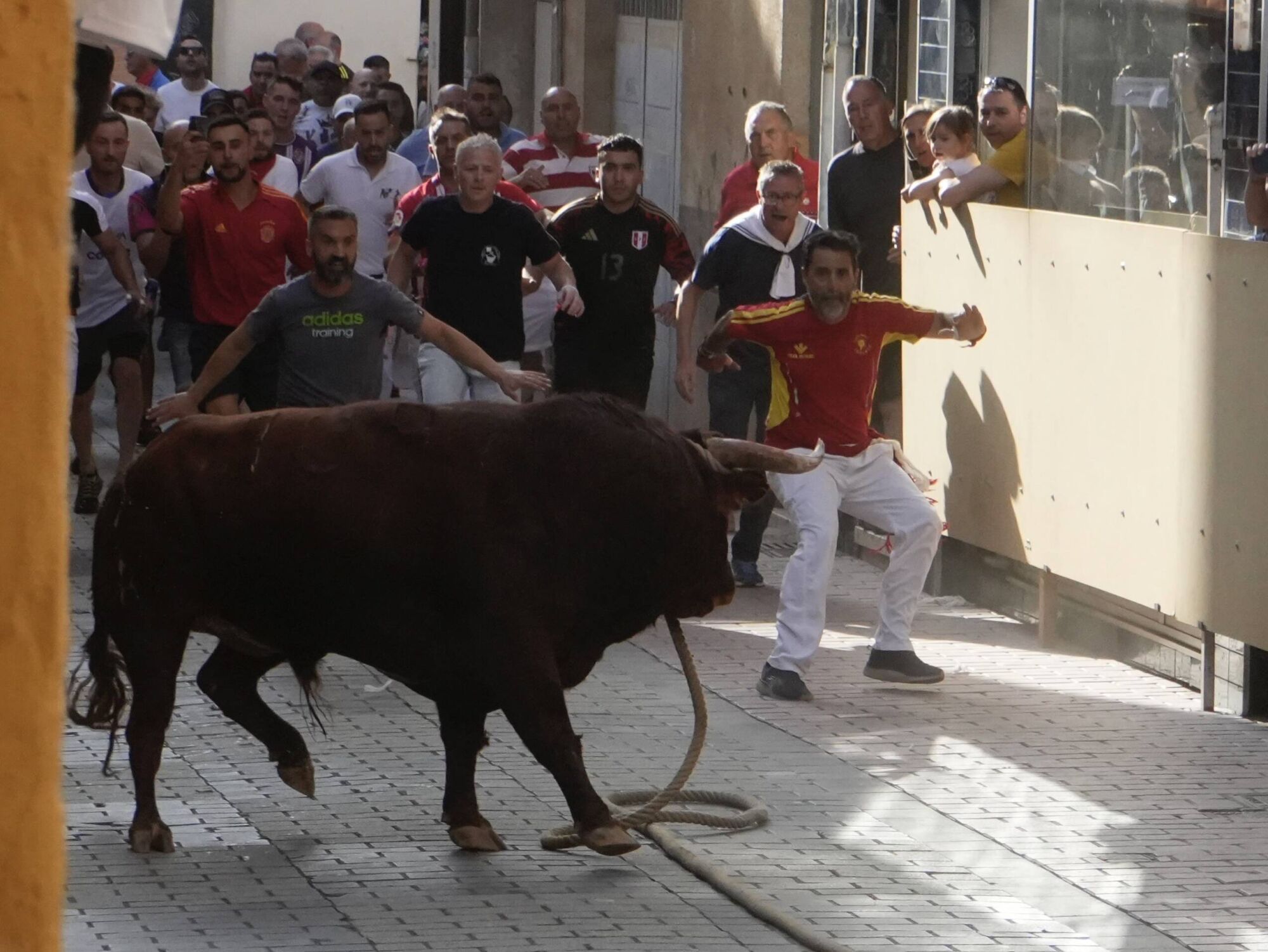 Las imágenes más impactantes del torito del alba de Benavente