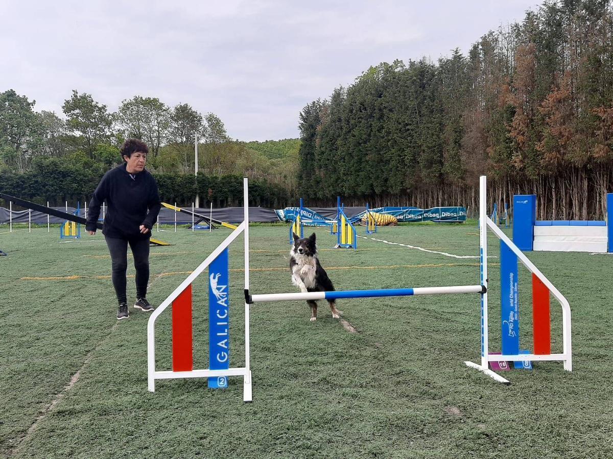 Instalaciones del club de agility canina Evo Dog Center en La Belga.
