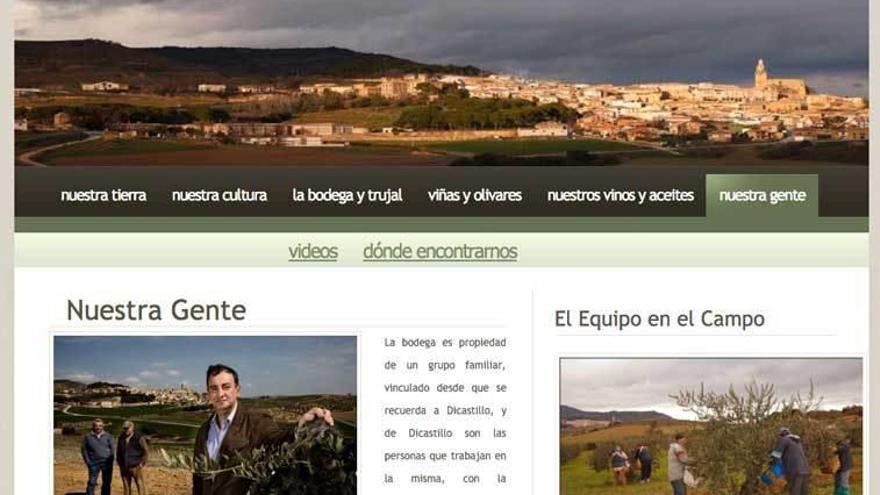 La página web de la empresa familiar que gestiona Emilio Valerio.