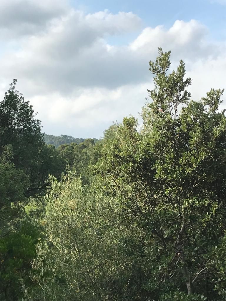 Un incendi crema una casa al cor de les Gavarres