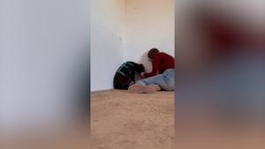 Woody, el perro abandonado tras la DANA y que está profundamente deprimido, busca adopción