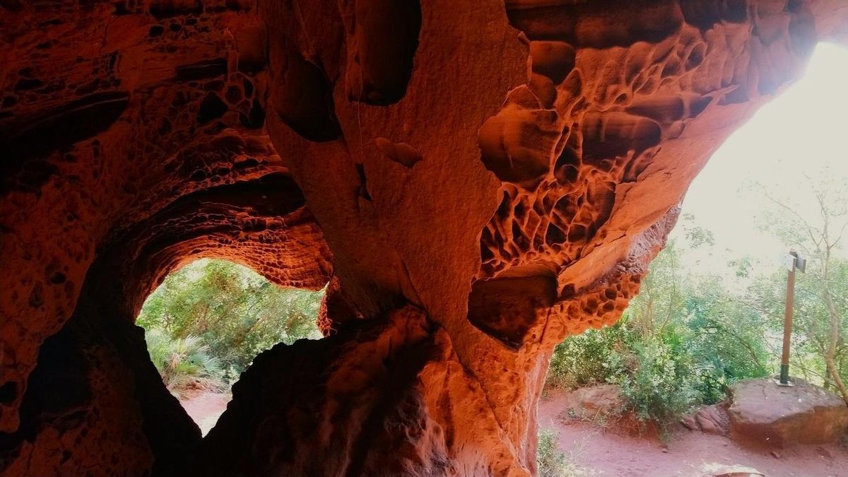 La prehistórica cueva viral que parece de Marte y está en Tarragona