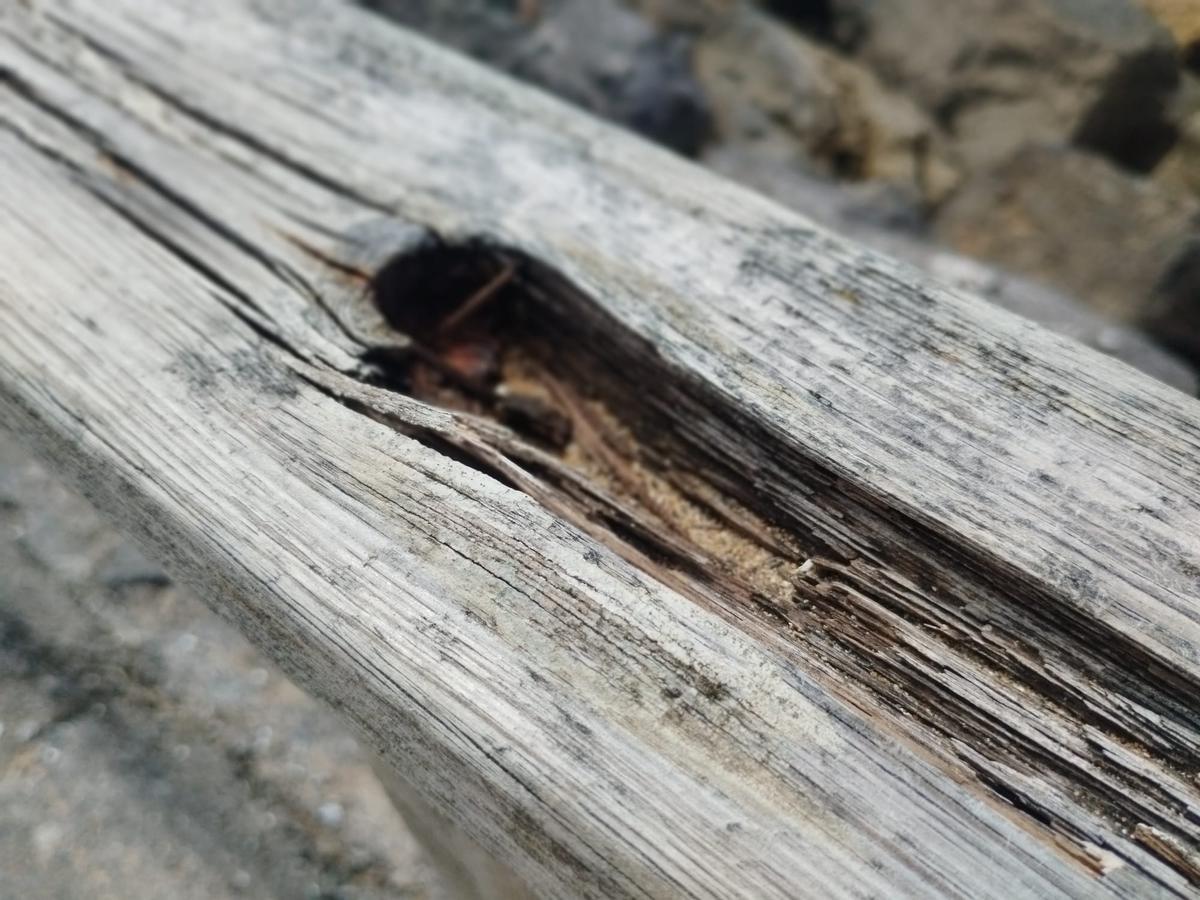 El deterioro del parque playa de Rodiles, en Villaviciosa, en imágenes