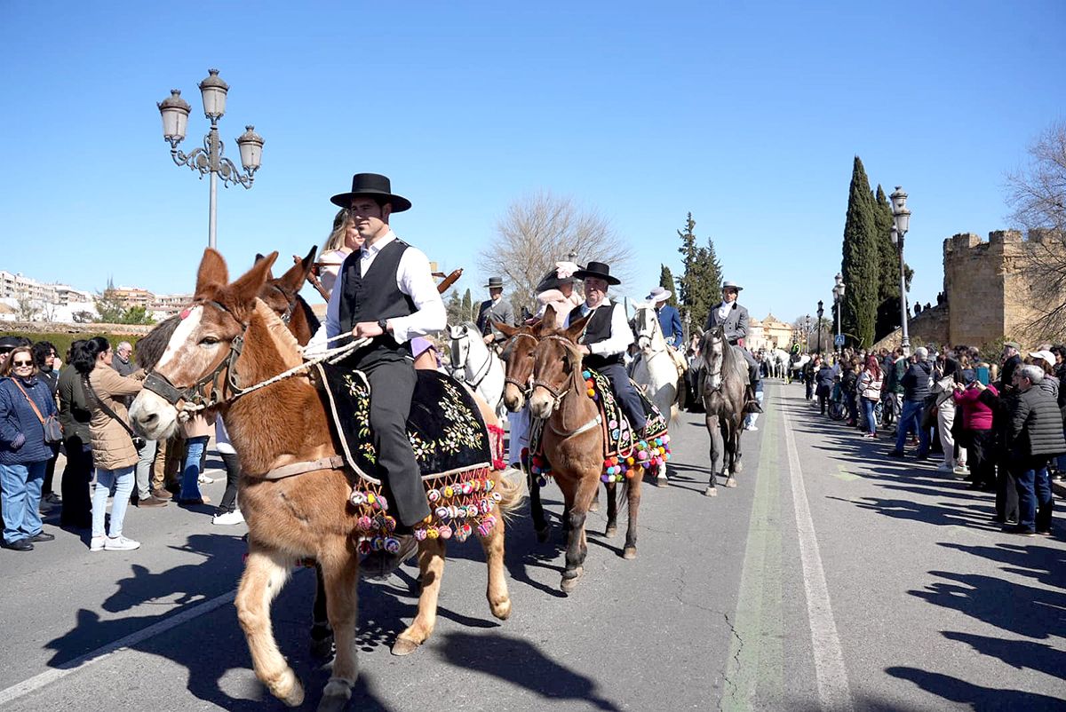 los caballos reinan en Córdoba el 28F