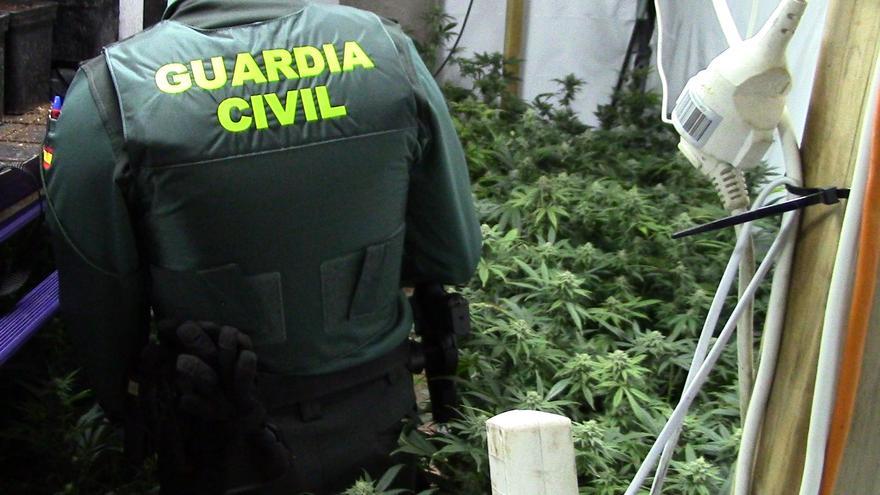 Cannabisplantage eines Deutschen auf Mallorca aufgeflogen