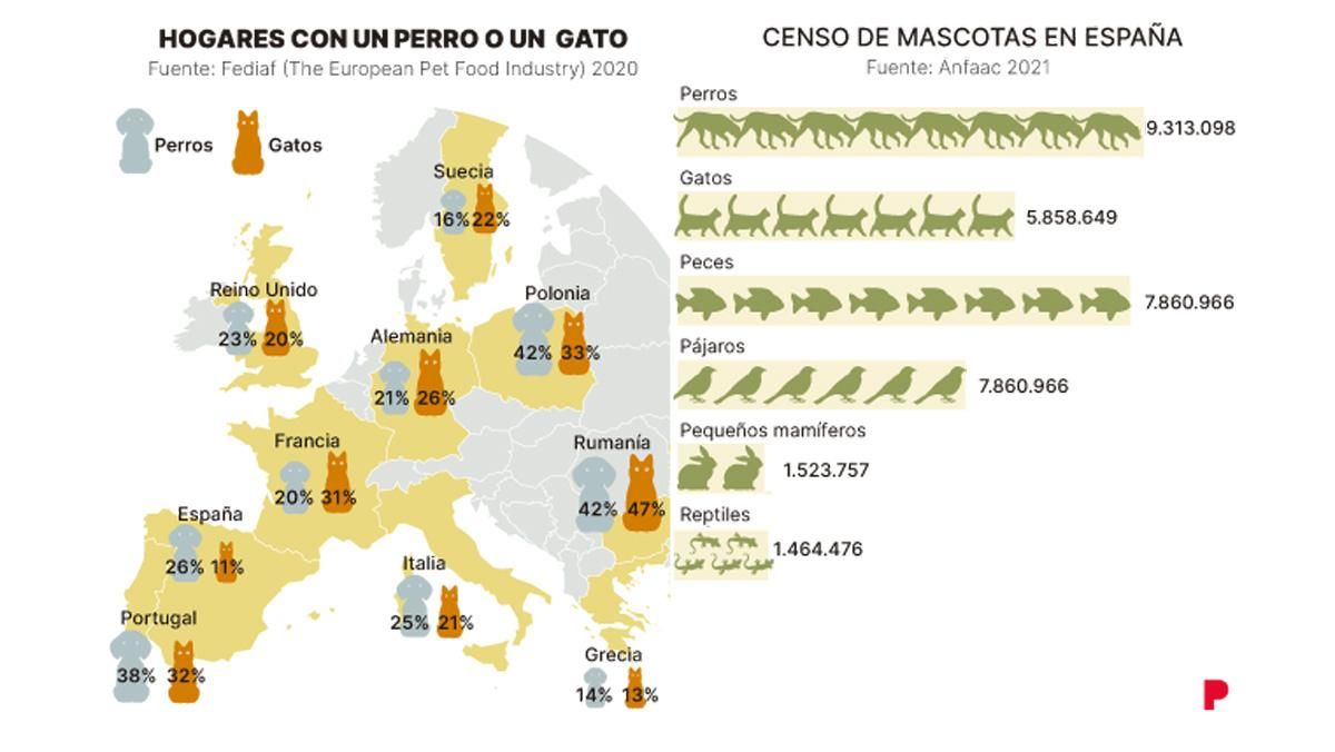 Censo de mascotas.
