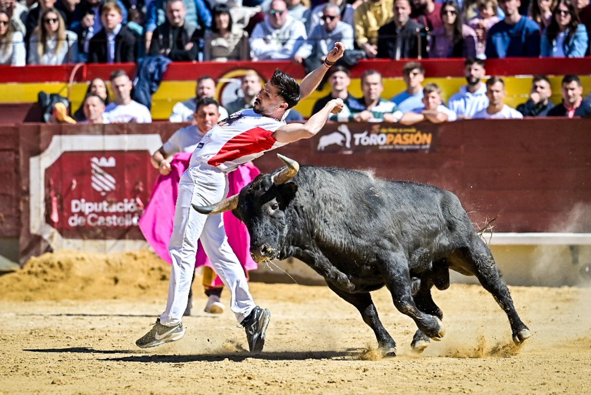 Concurso recortadores