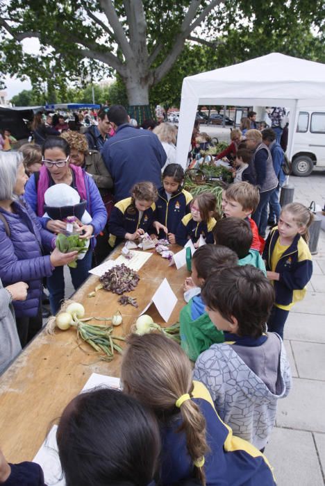 Els infants venen verdures al Mercat del Lleó