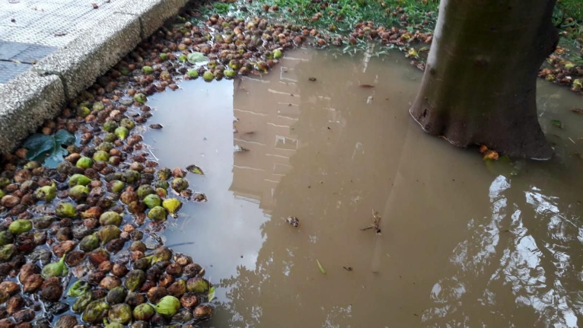 Consecuencias de la tormenta en Zaragoza