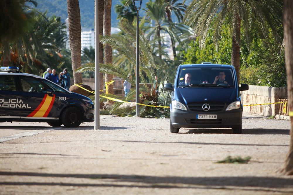 Muerte en el Parc de la Mar