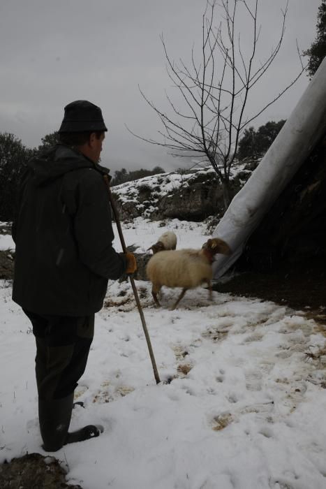 La nieve regresa a Asturias en plena cuarentena