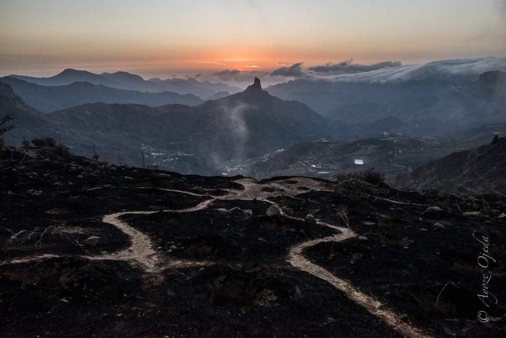 Incendio en Gran Canaria | Quinto día