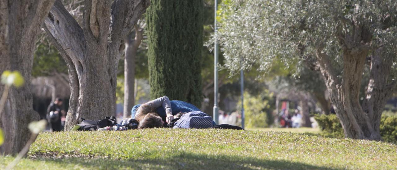 Una pareja dándose muestras de cariño en una de las zonas verdes del campus de la Universidad de Alicante, este 14 de febrero.