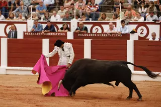 La novillada de la feria taurina de Begoña de Gijón (Vídeo)