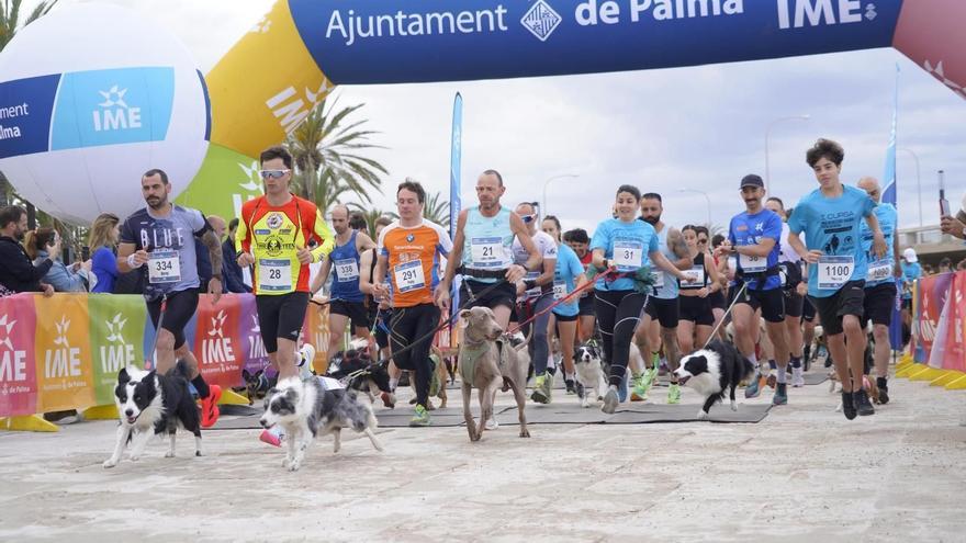 La primera edición de la Cursa Pro Benestar Animal 'Ciutat de Palma' cuenta con unos 370 participantes