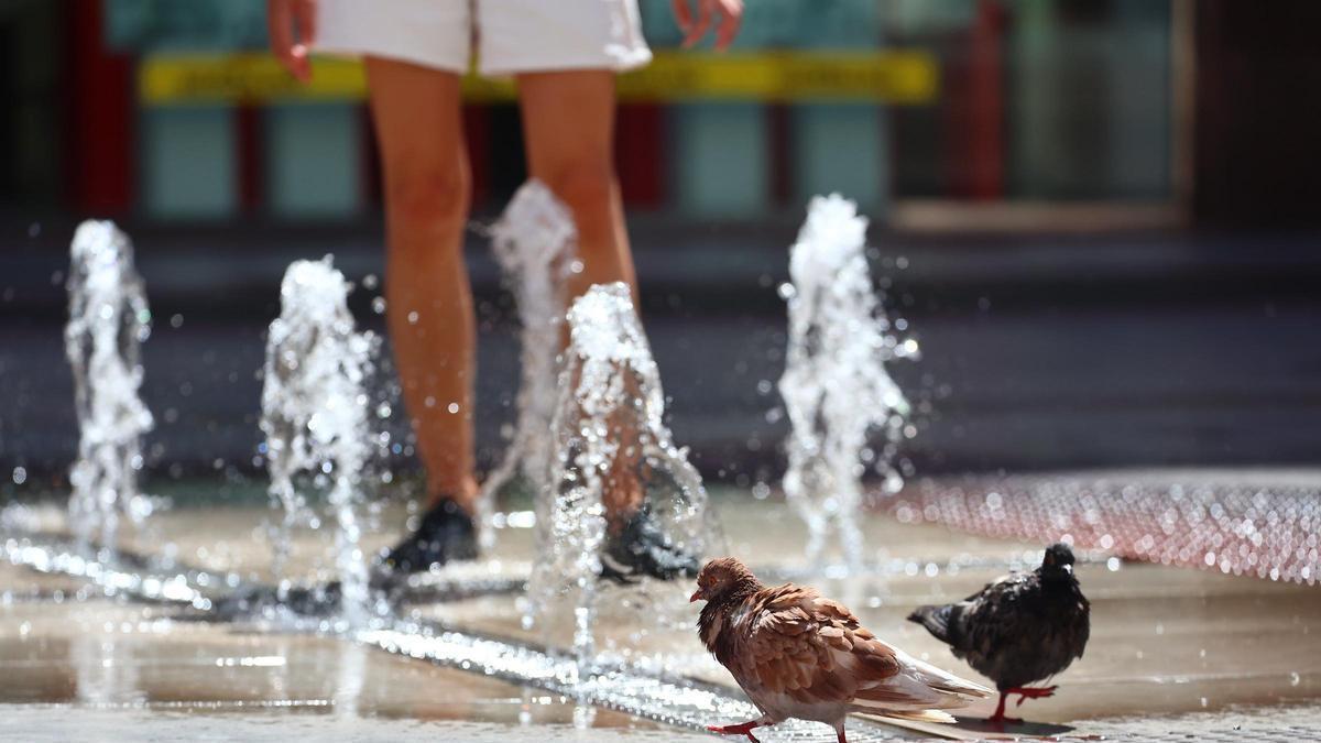 Castellón volverá a pasar calor durante los próximos días.