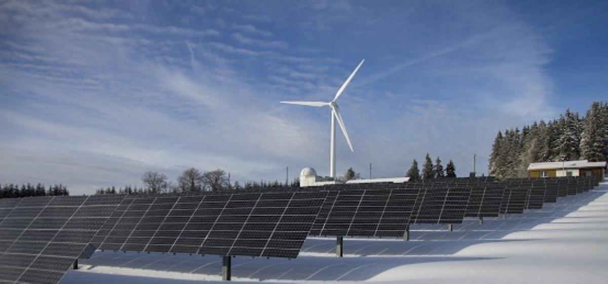 Generación de empleo en el sector de las energías renovables.