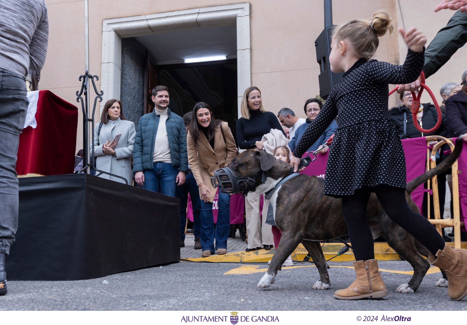 Así ha sido el 'porrat' de Sant Antoni en Beniopa