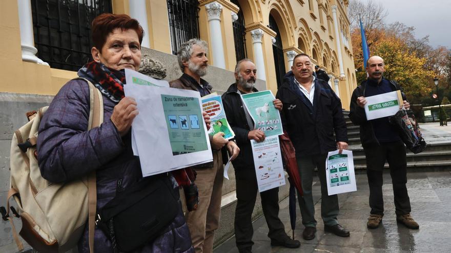 El xatu &quot;desamparado&quot; que se llevaron unos turistas y otros conflictos en el medio rural: Asturias Ganadera pide proteger por ley al campo asturiano