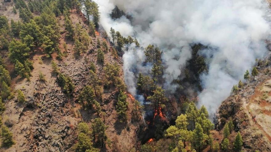 El incendio en La Palma avanza sin control y salta un conato en La Gomera