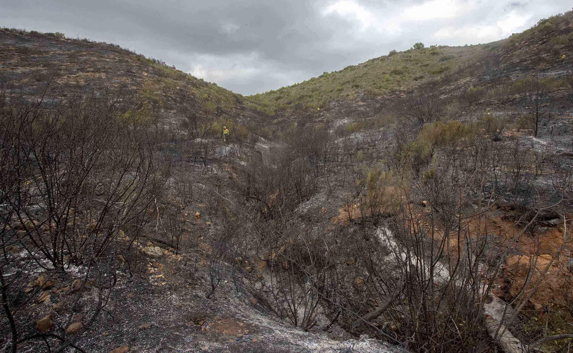 Así ha quedado la zona incendiada de Rafelguaraf