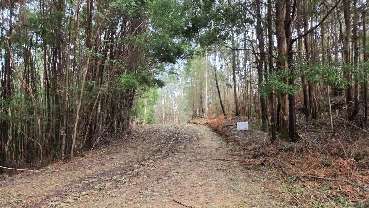 Lugar en el que se busca al hombre desaparecido en Padrón, en la zona de Confurco