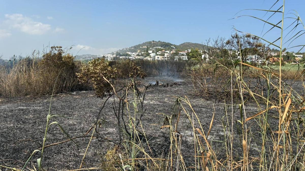 Terreno quemado por el incendio.