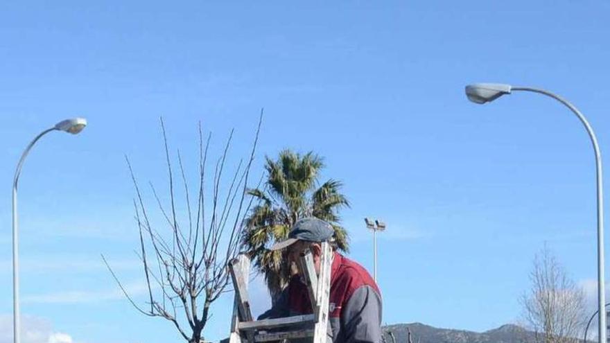 Las brigadas preocupan a los trabajadores de Ravella. // Noé Parga