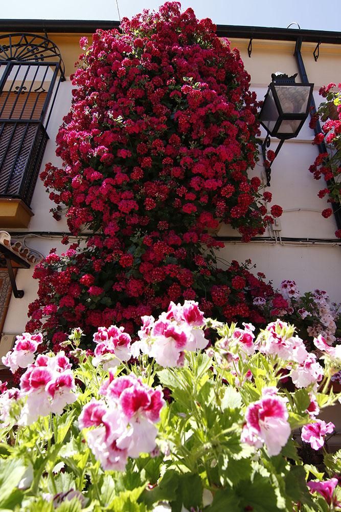 Premios rejas y balcones