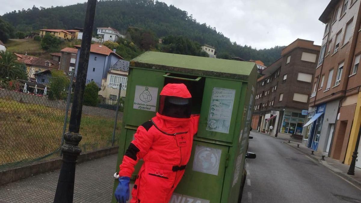 La eliminación de un nido dentro de un contenedor de ropa, en la avenida principal de Salas..