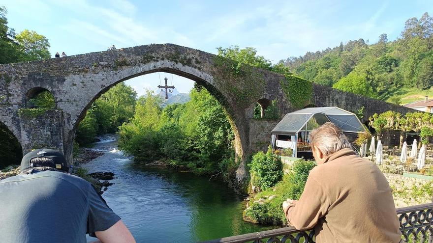 El salmón sigue en el punto de mira: el máximo organismo científico en España en materia de peces pide declararlo en peligro de extinción
