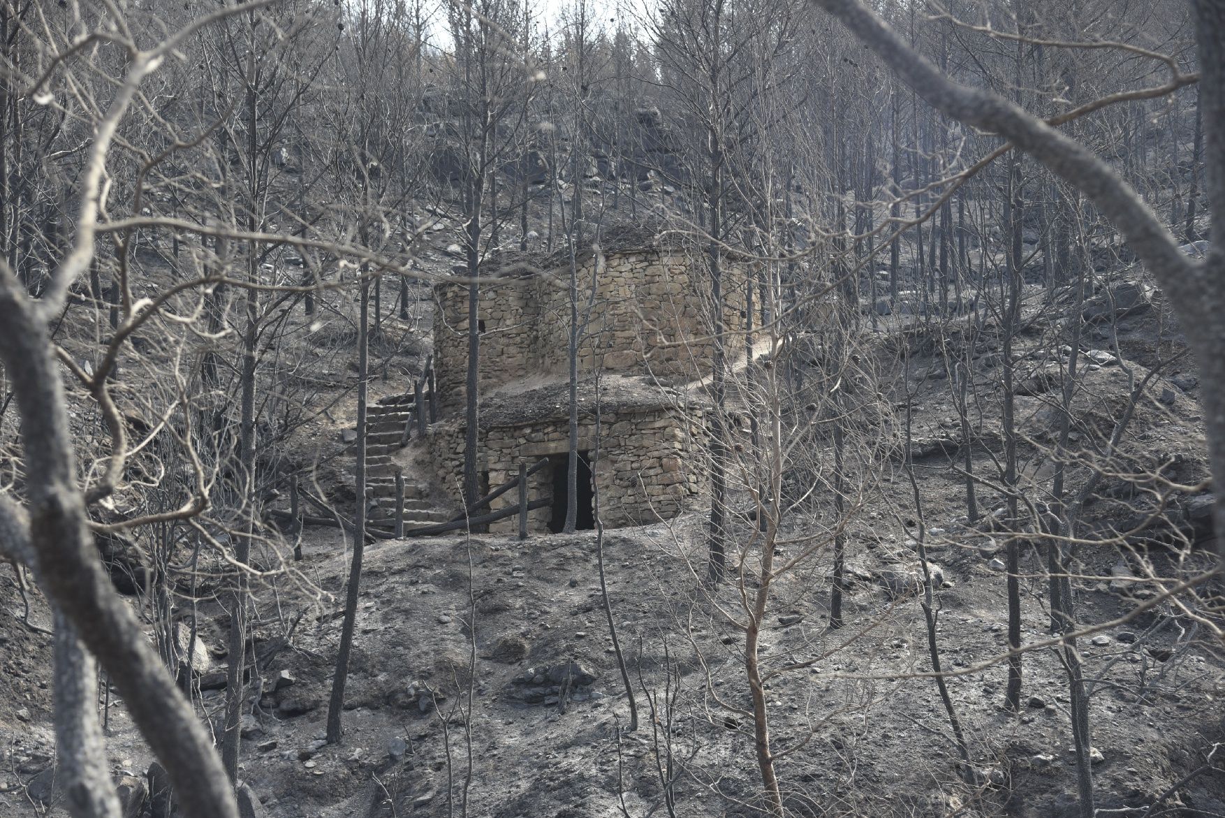 Així ha afectat el foc les tines de la Vall del Flequer