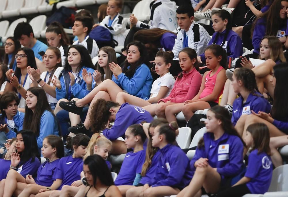 La entidad viguesa conquista el  título nacional en cadetes y juveniles y añade el tercer puesto en alevines y senior.