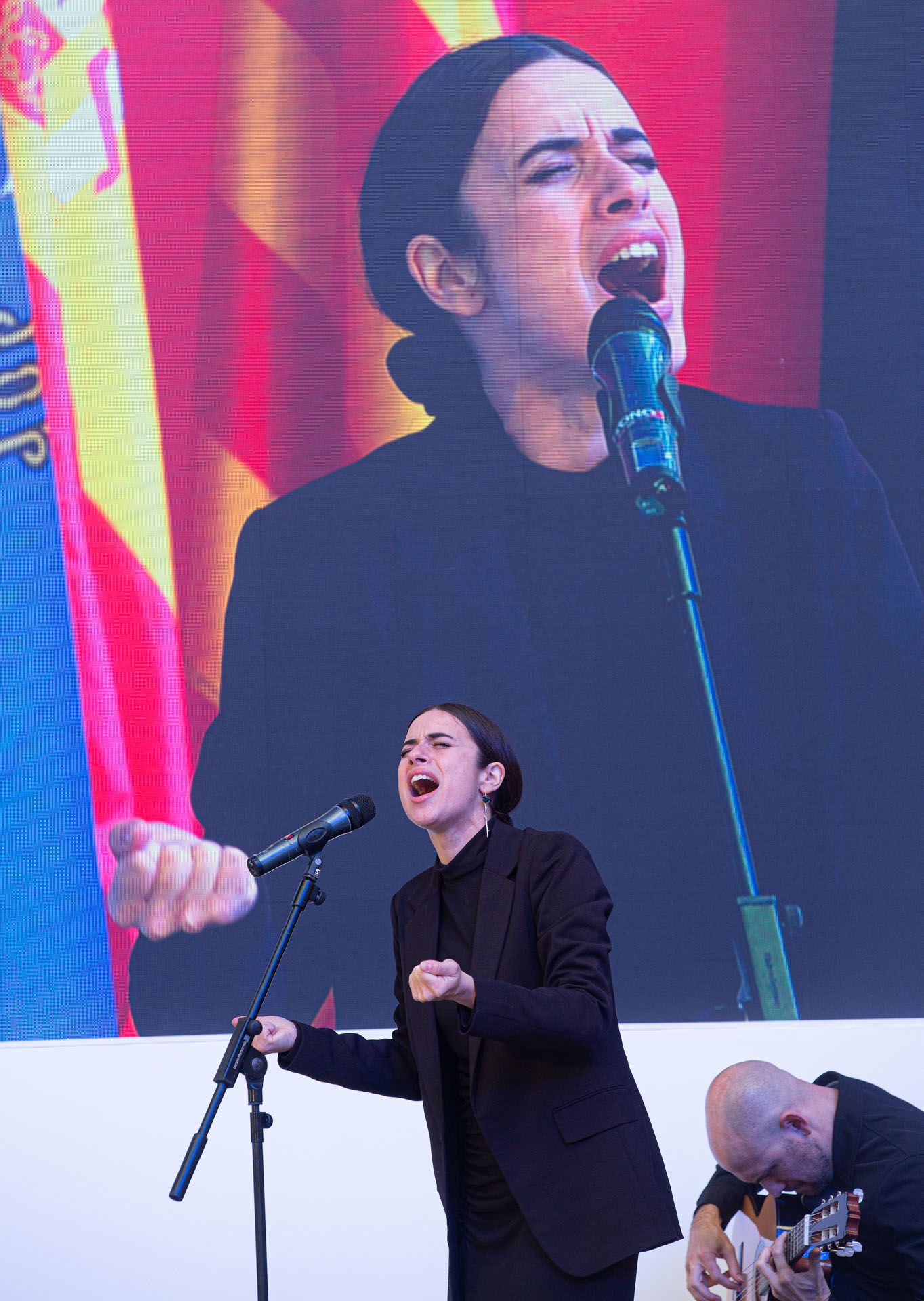 Celebración del Día de la Constitución en Alicante