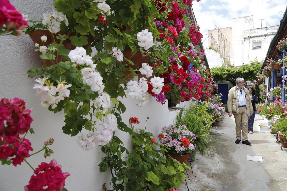 Patios de Córdoba: Marroquíes 6