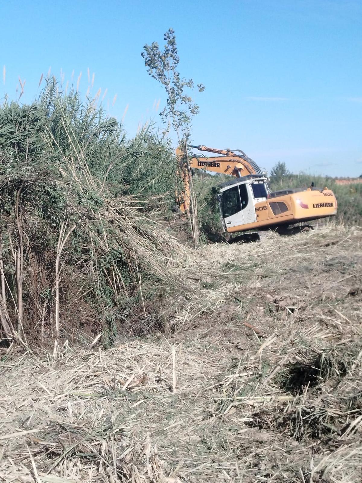 Actuación en el cauce del Canyoles en Vallada.