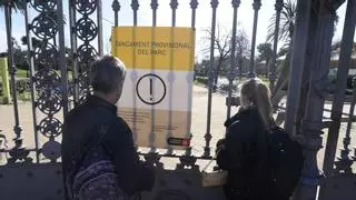 Barcelona activa la alerta por viento fuerte: cierran parques y jardines ante posibles rachas de más de 70 km/h