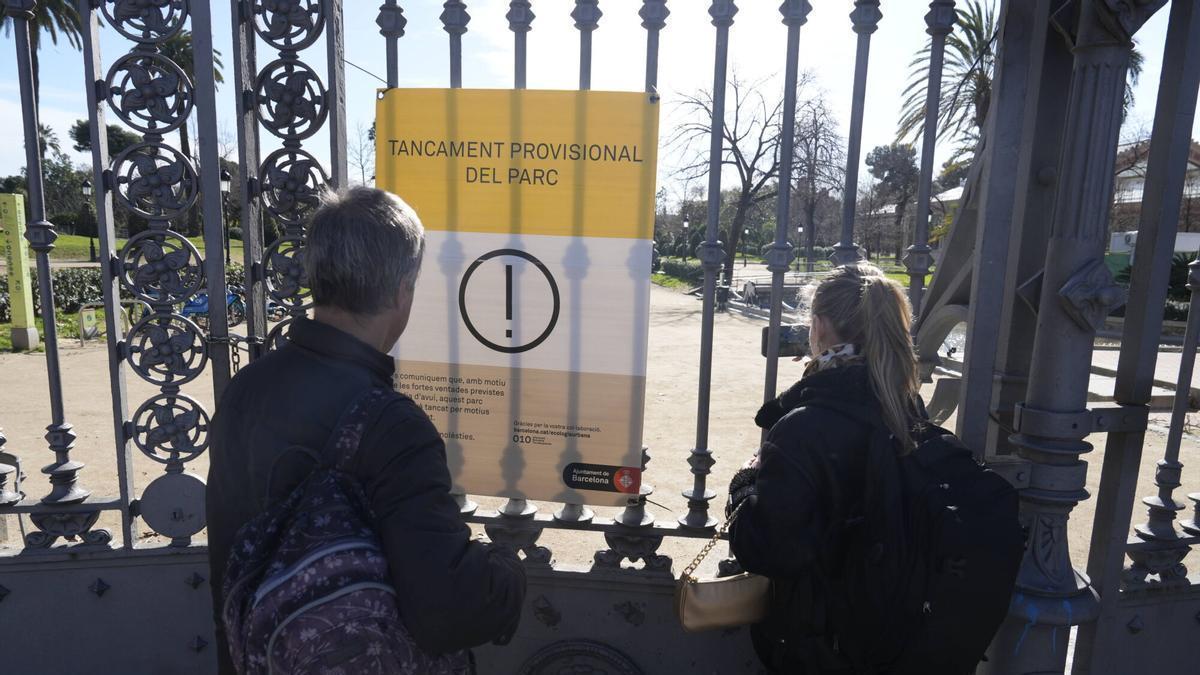 Barcelona activa el plan por viento en fase de alerta y cierra parques y jardines