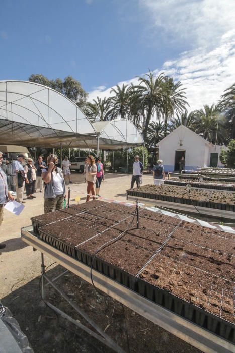 Jornada de puertas abiertas del yacimiento de la Rábita