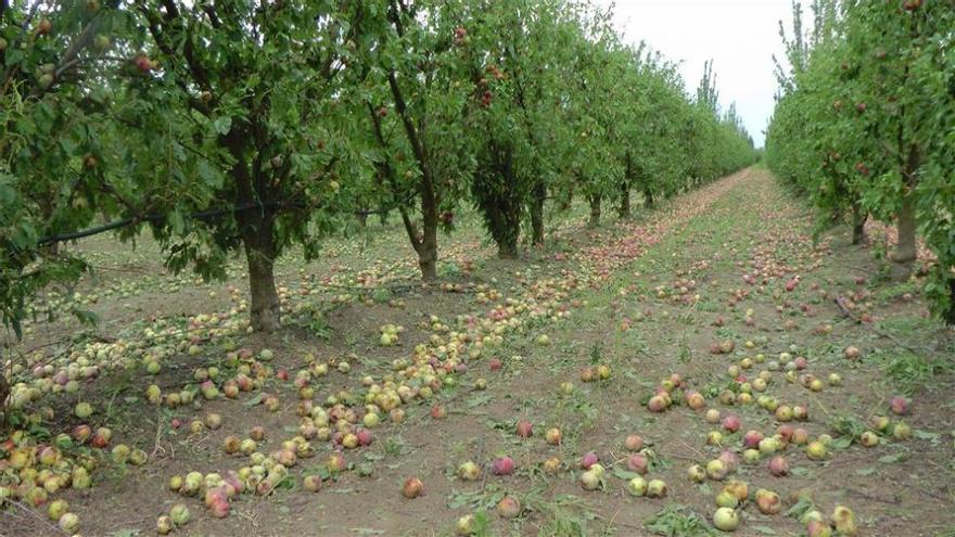 El temporal causa la pérdida de 200.000 jornales en el campo extremeño, según CCOO