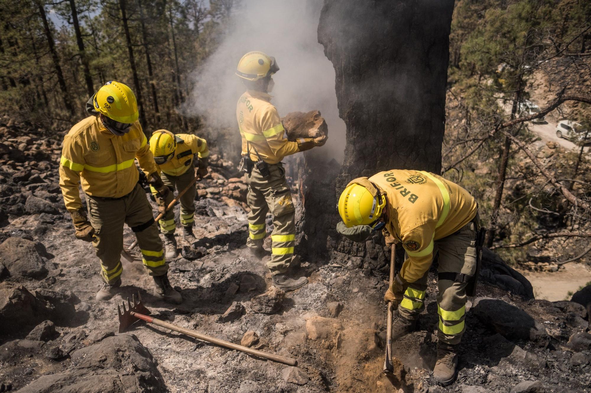 Dispositivo especial del Cabildo de Tenerife en el incendio de Arico