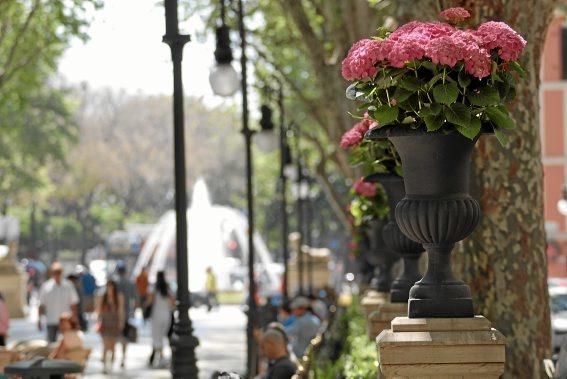 Passeig del Born