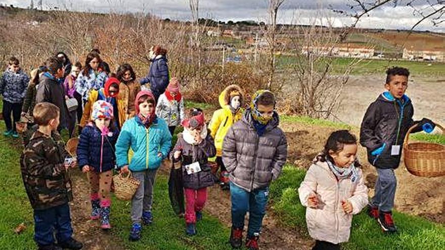 Niños y niñas del colegio de Venialbo con sus maestras preparados para recoger setas en el entorno del pueblo.